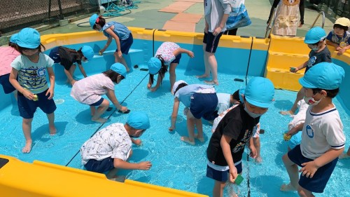 写真:プール開きに向けて(全園児)1