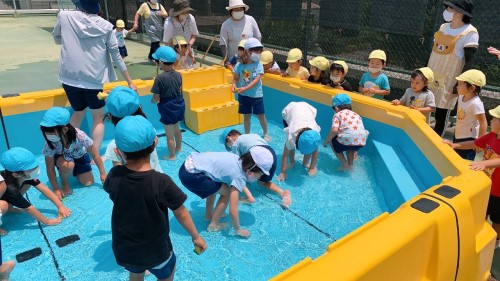 写真:プール開きに向けて(全園児)2