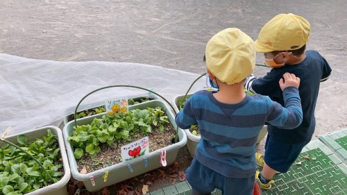 写真:3学期が始まりました(全園児)3