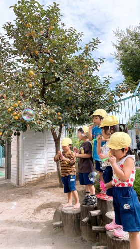 写真:園庭の柿の木(全園児)4