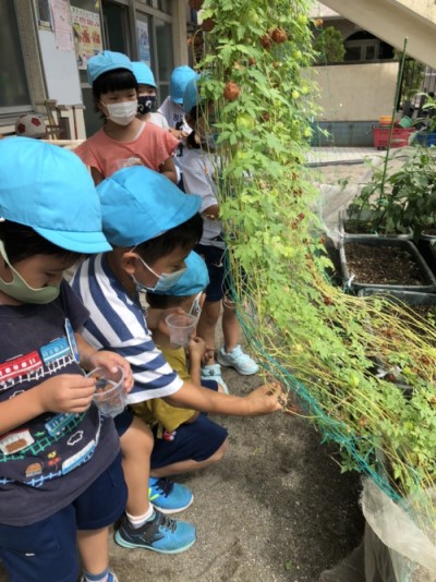 写真:戸外遊び(全園児)4