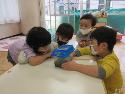 写真:5月の様子43