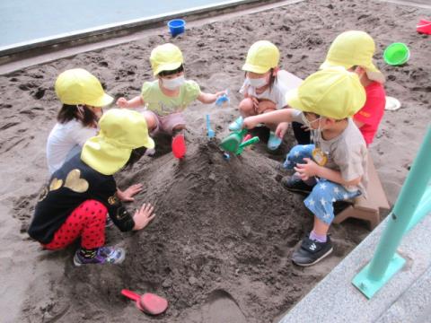 写真:5月の様子49