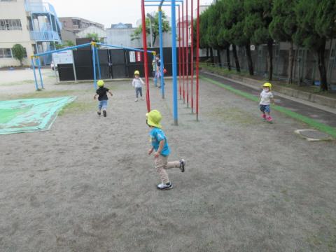 写真:5月の様子54