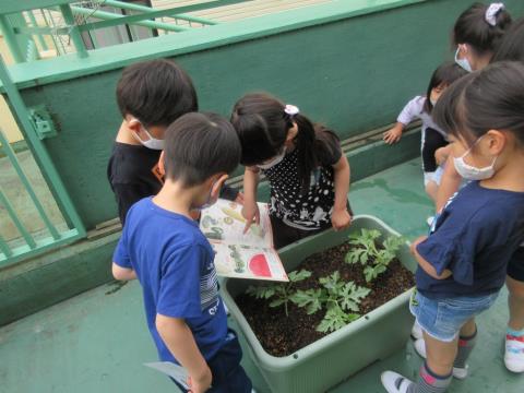 写真:5月の様子29