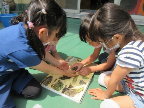 写真:5月の様子31