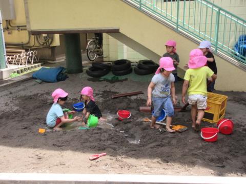 写真:5月の様子7