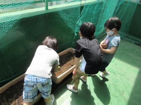 写真:5月の様子10