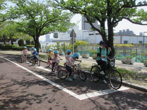 写真:遠足(荒川自然公園)4