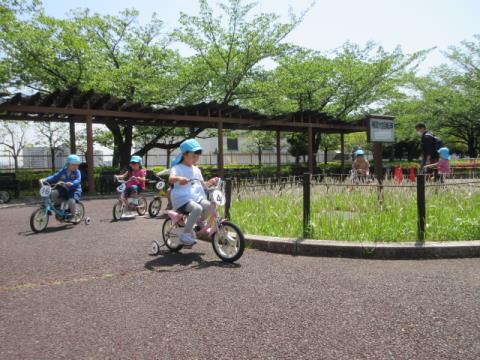 写真:遠足(荒川自然公園)5