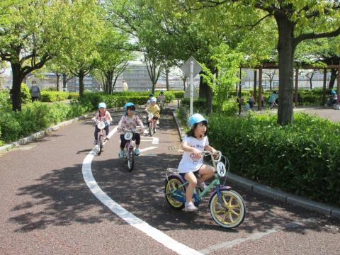 写真:遠足(荒川自然公園)6