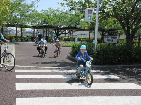 写真:遠足(荒川自然公園)7