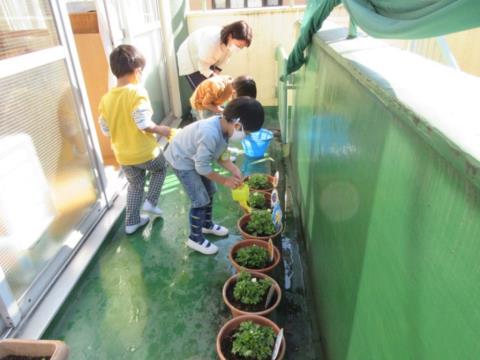 写真:11月の様子17