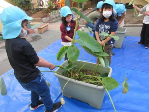 写真:11月の様子25