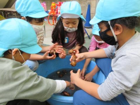 写真:11月の様子26