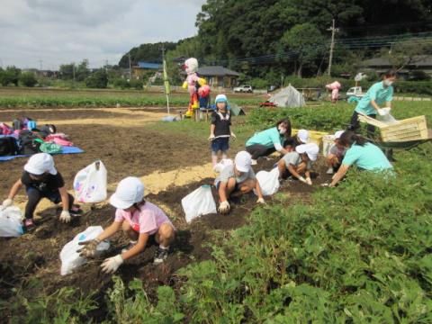 写真:10月の様子63