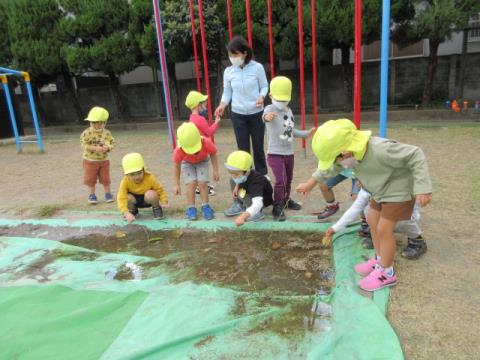 写真:10月の様子30