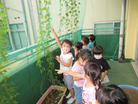 写真:9月の様子39