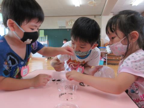 写真:9月の様子40