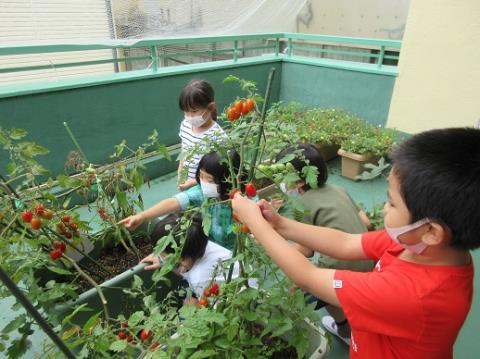 写真:7月の様子23