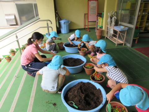 写真:6月の様子79