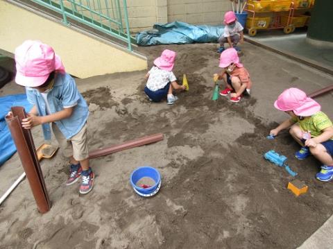 写真:6月の様子44