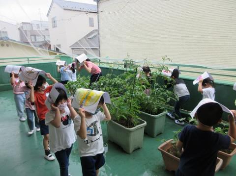 写真:6月の様子51