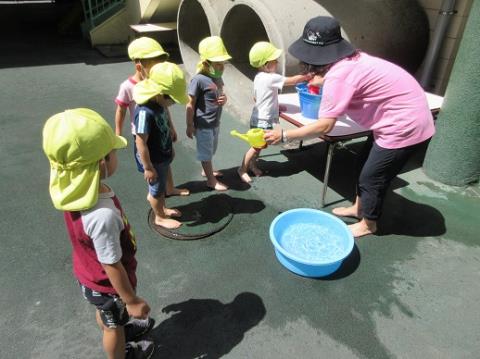 写真:6月の様子40