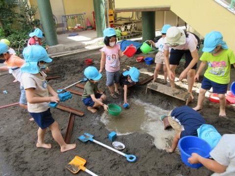 写真:6月の様子7