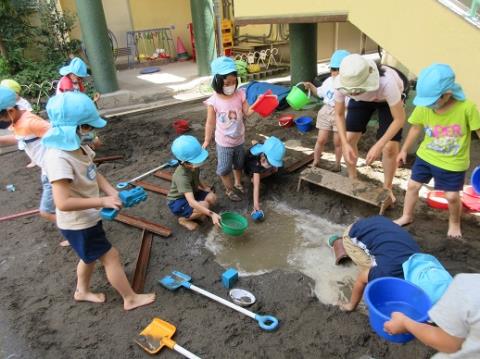 写真:6月の様子7