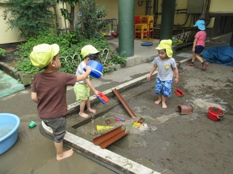 写真:6月の様子3