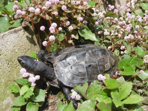 写真:5月の様子7