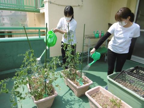 写真:5月の様子8