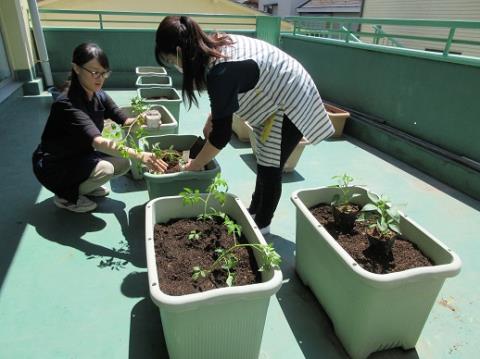 写真:5月の様子2