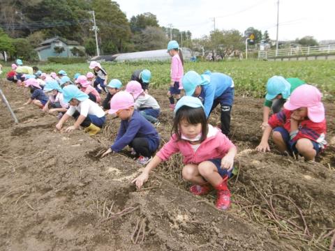 写真:10月の様子19