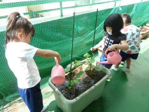 写真:5月の様子19