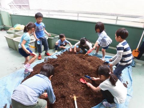 写真:5月の様子25