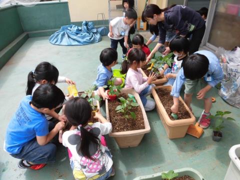 写真:5月の様子26