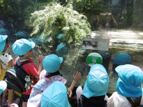 写真:5月の様子41