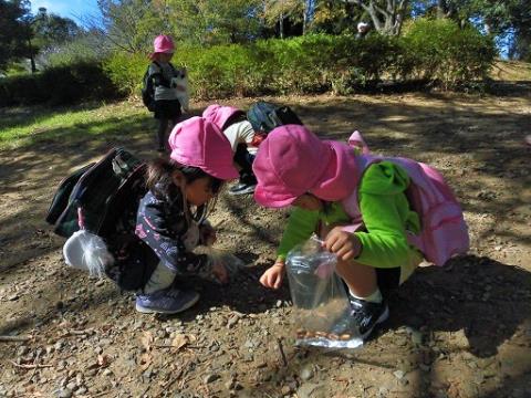 写真:11月の様子6