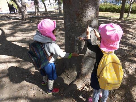 写真:11月の様子7