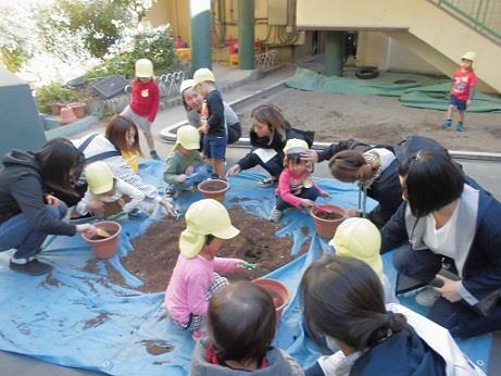 写真:11月の様子42