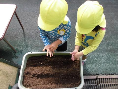 写真:10月の様子36