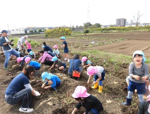 写真:10月の様子41