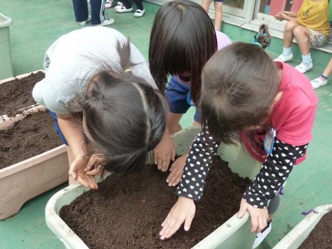 写真:10月の様子78