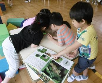 写真:5月の様子44