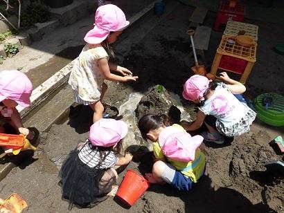 写真:5月の様子37