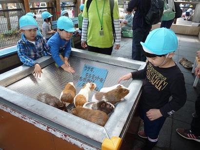 写真:4月の様子11