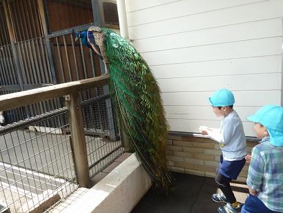 写真:4月の様子13