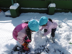 写真:雪が降りました7